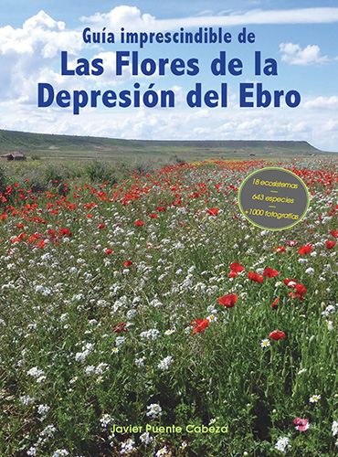 depresion_ebro